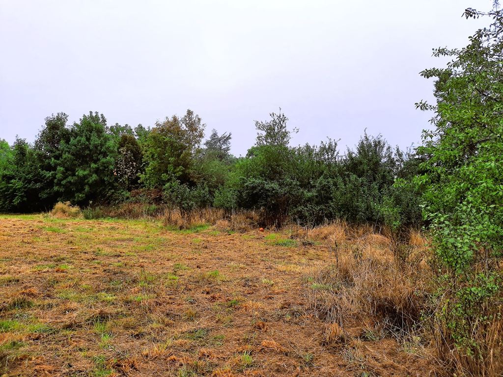 Terrain ST AGNIN SUR BION 149000€ Alexandre Lachaud IMMOBILIER