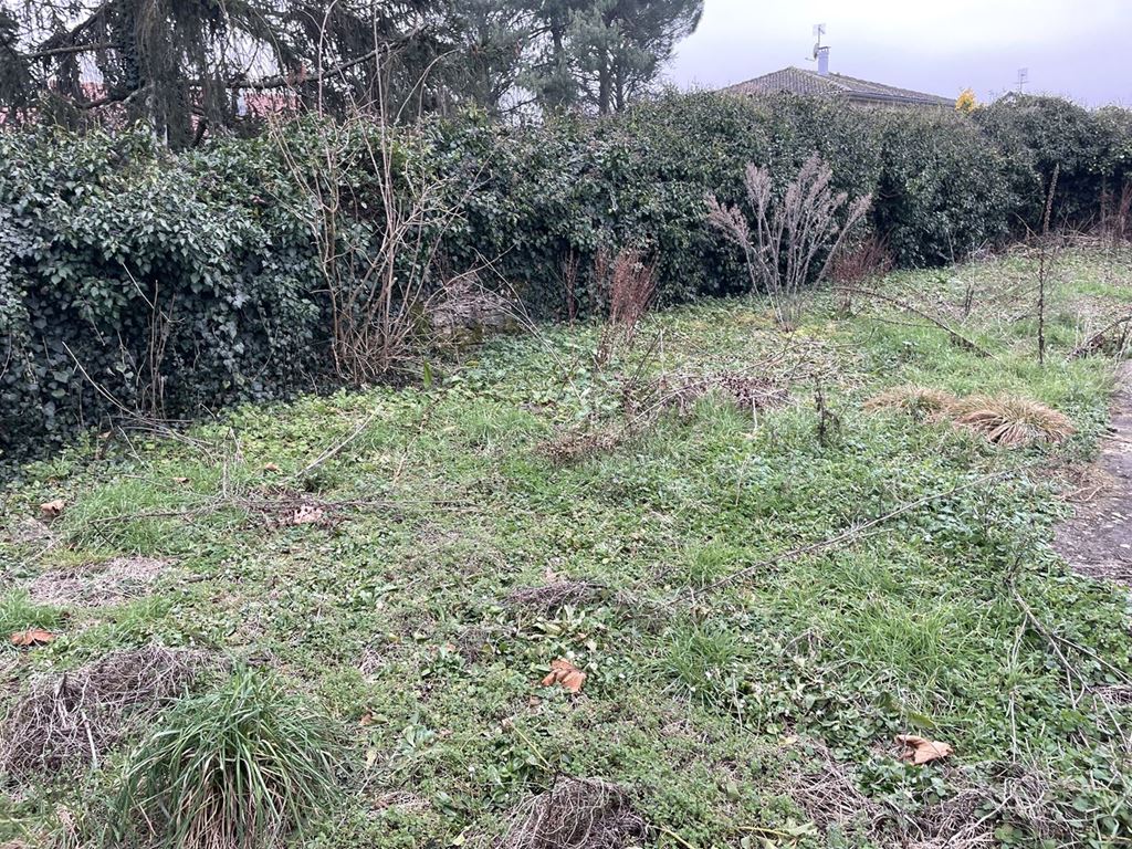 Terrain VILLEMOIRIEU 163000€ Alexandre Lachaud IMMOBILIER Terrain VILLEMOIRIEU 163000€ Alexandre Lachaud IMMOBILIER